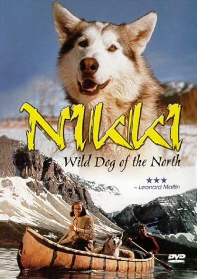 смотреть онлайн бесплатно в хорошем качестве Никки, дикий пес севера / Nikki, Wild Dog of the North (1961) HDRip
